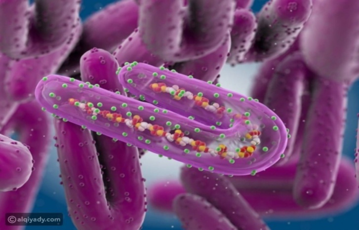 منظمة الصحة العالمية تعلن تفشي فيروس "ماربورغ" المميت في غانا منظمة الصحة العالمية تعلن تفشي فيروس "ماربورغ" المميت في غانا