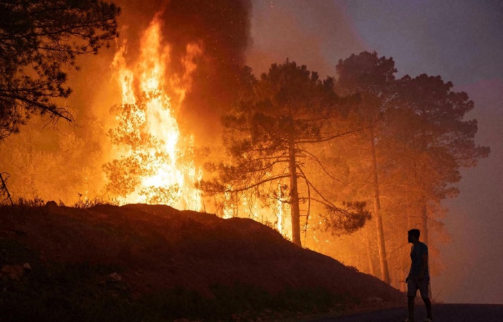 من تحت الرّماد... انبعاث جديد للشمال من تحت الرّماد... انبعاث جديد للشمال