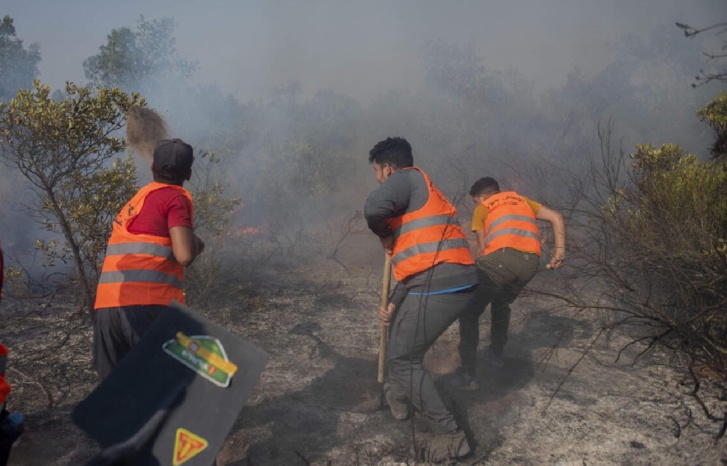 من تحت الرّماد... انبعاث جديد للشمال من تحت الرّماد... انبعاث جديد للشمال