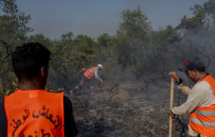 من تحت الرّماد... انبعاث جديد للشمال من تحت الرّماد... انبعاث جديد للشمال