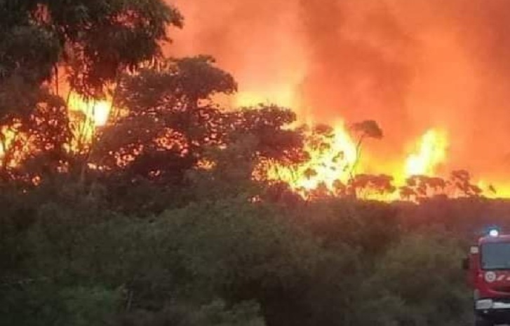 حرائق مهولة ووفاة سيدتين بتازروت ومولاي عبد السلام  حرائق مهولة ووفاة سيدتين بتازروت ومولاي عبد السلام