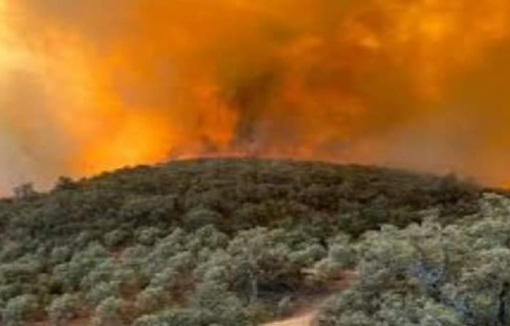 حرائق جديدة تضرب منطقة ببني ملال حرائق جديدة تضرب منطقة ببني ملال