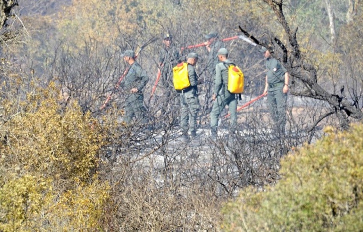 خنيفرة: فرق التدخل تقترب من السيطرة على الحريق خنيفرة: فرق التدخل تقترب من السيطرة على الحريق