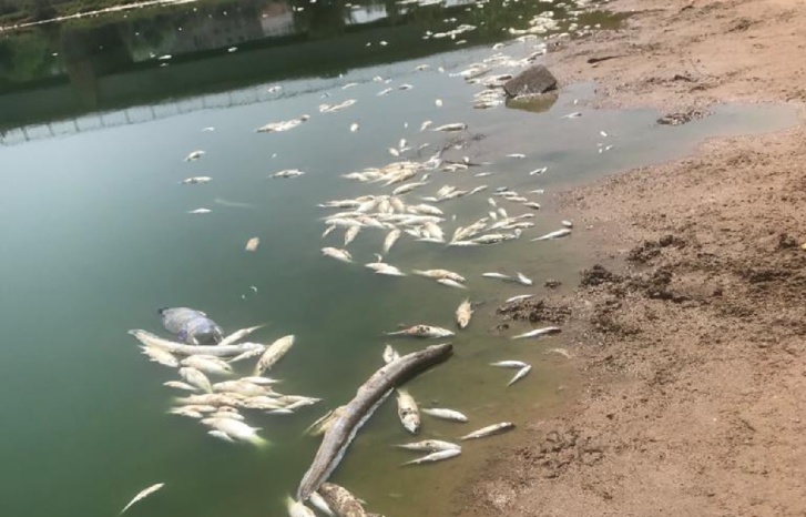 حقيقة كارثة واديي سبو بالغرب ونفيفيخ بالمحمدية ! حقيقة كارثة واديي سبو بالغرب ونفيفيخ بالمحمدية !