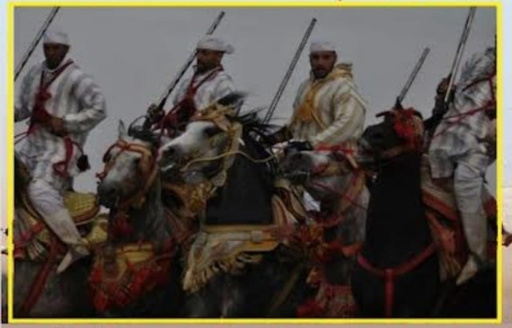 تنظيم مهرجان للتبوريدة في سيدي علال التازي تنظيم مهرجان للتبوريدة في سيدي علال التازي