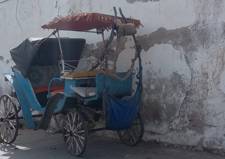 مدينة الصويرة تستنجد بالمسؤولين