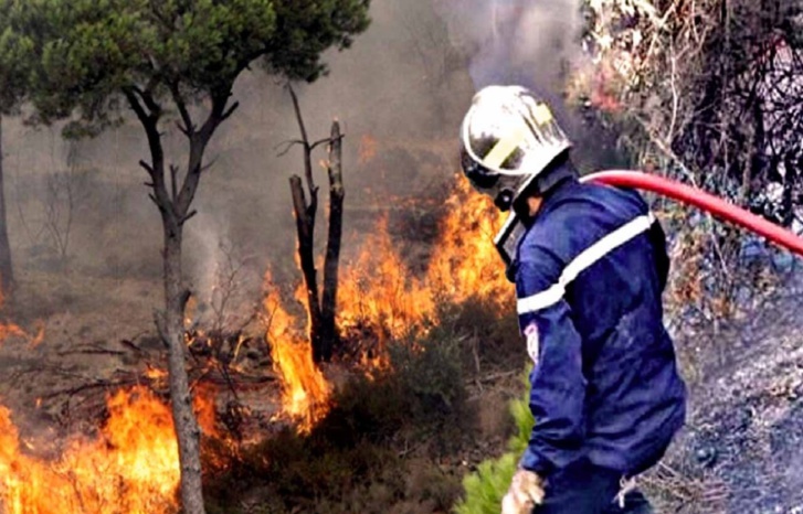 اختلالات المناخ.. هل يُصلِح التشجير ما أفسدته أيدي البشر؟ اختلالات المناخ.. هل يُصلِح التشجير ما أفسدته أيدي البشر؟