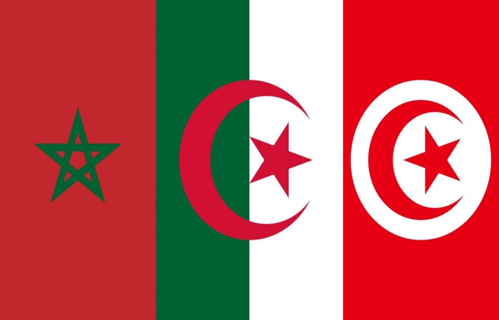الجزائر تتهم المغرب بشن حملة على تونس الجزائر تتهم المغرب بشن حملة على تونس