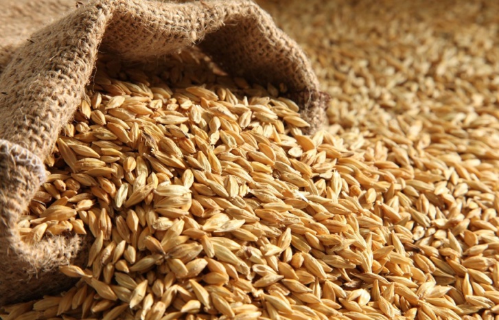 المغرب يرفع وارداته من القمح