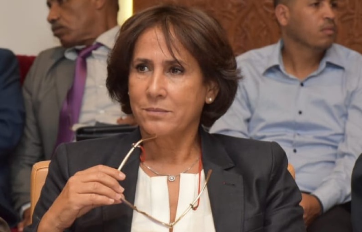 النائبة البرلمانية مليكة لحيان النائبة البرلمانية مليكة لحيان