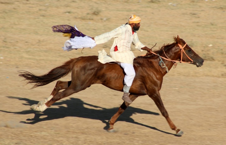 المهرجان الدولي لفروسية "ماطا" يجدد العهد في نسخته 10 المهرجان الدولي لفروسية "ماطا" يجدد العهد في نسخته 10