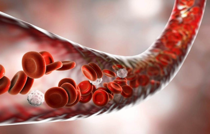 يهدد الحياة.. تسمم الدم مشكلة صحية عمومية يمكن الوقاية منها وتجنب مضاعفاتها يهدد الحياة.. تسمم الدم مشكلة صحية عمومية يمكن الوقاية منها وتجنب مضاعفاتها