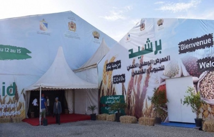 برشيد: الاستعدادات جارية لإنجاح النسخة الثالثة من المعرض الوطني للحبوب والقطاني برشيد: الاستعدادات جارية لإنجاح النسخة الثالثة من المعرض الوطني للحبوب والقطاني