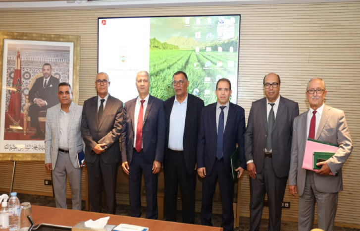 برشيد: الاستعدادات جارية لإنجاح النسخة الثالثة من المعرض الوطني للحبوب والقطاني برشيد: الاستعدادات جارية لإنجاح النسخة الثالثة من المعرض الوطني للحبوب والقطاني