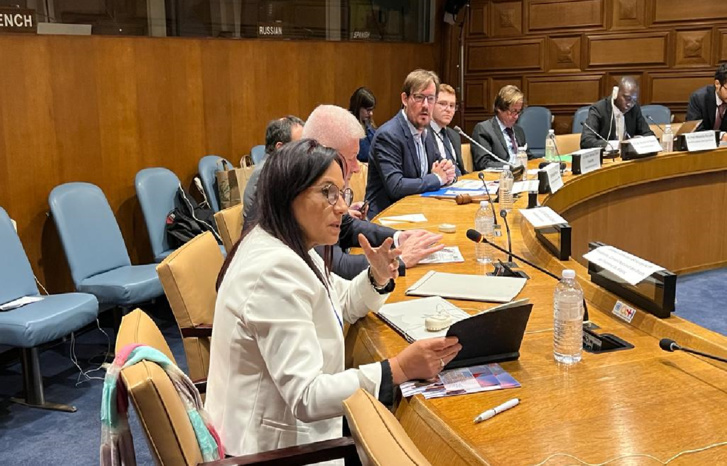 بوعياش تشجع تصويت المغرب على القرار الأممي لوقف تنفيذ الإعدام بوعياش تشجع تصويت المغرب على القرار الأممي لوقف تنفيذ الإعدام