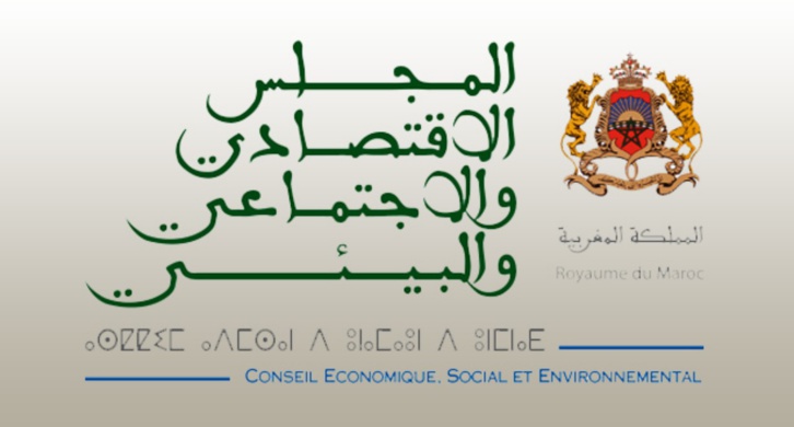 المجلس الاقتصادي والاجتماعي والبيئي يطلق استشارات مواطنة مع مغاربة العالم