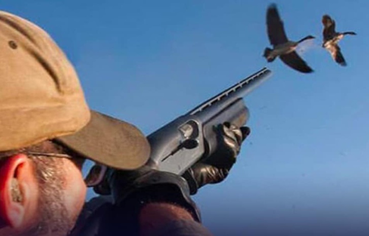 الجامعة الملكية المغربية للقنص تنتخب مكتبا جديدا الجامعة الملكية المغربية للقنص تنتخب مكتبا جديدا