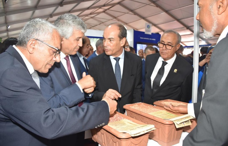 "الحبوب والقطاني ورهان تأمين السيادة الغذائية" شعار النسخة الثالثة لمعرض الحبوب والقطاني ببرشيد "الحبوب والقطاني ورهان تأمين السيادة الغذائية" شعار النسخة الثالثة لمعرض الحبوب والقطاني ببرشيد