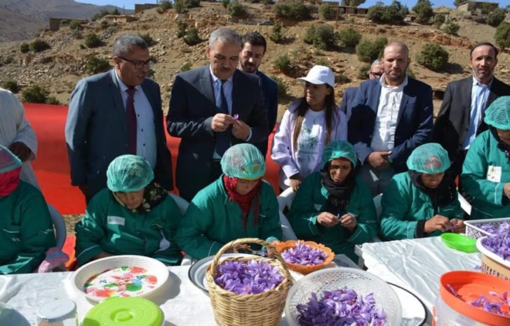 عامل إقليم أزيلال في زيارة تفقدية لمشتل الأعشاب الطبية والعطرية بجماعة زاوية احنصال "تلوين أزيلال"