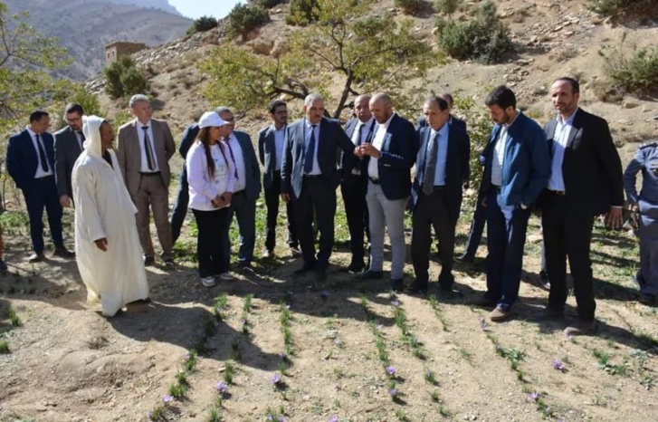 عامل إقليم أزيلال في زيارة تفقدية لمشتل الأعشاب الطبية والعطرية بجماعة زاوية احنصال "تلوين أزيلال"