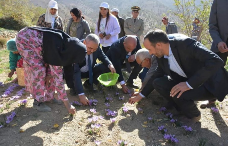عامل إقليم أزيلال في زيارة تفقدية لمشتل الأعشاب الطبية والعطرية بجماعة زاوية احنصال "تلوين أزيلال" عامل إقليم أزيلال في زيارة تفقدية لمشتل الأعشاب الطبية والعطرية بجماعة زاوية احنصال "تلوين أزيلال"