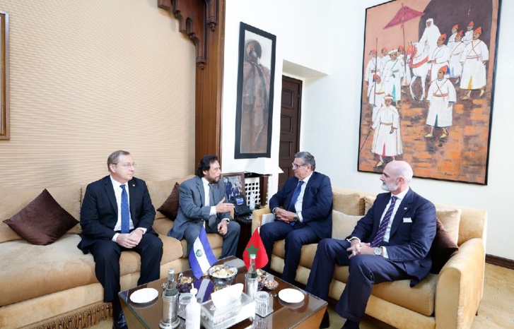 أخنوش يجري مباحثات مع نائب رئيس جمهورية السلفادور أخنوش يجري مباحثات مع نائب رئيس جمهورية السلفادور