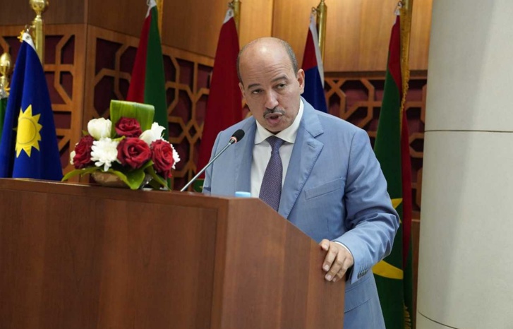 النعم ميارة.. رفاه الشباب الإفريقي لا يمكن أن يتحقق دون أجندة قارية متكاملة النعم ميارة.. رفاه الشباب الإفريقي لا يمكن أن يتحقق دون أجندة قارية متكاملة