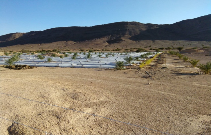 الصخيرات.. تنزيل البرنامج التكويني الخاص بالإطار القانوني الجديد للجماعات السلالية