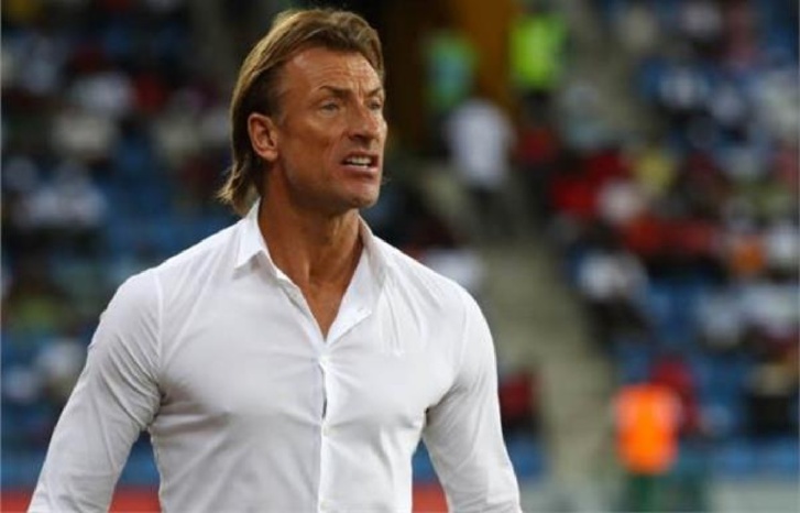 رونار ينزع قميص بلده ويلبس قميص الأسود في مباراتهم مع الديكة رونار ينزع قميص بلده ويلبس قميص الأسود في مباراتهم مع الديكة