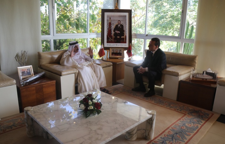 وزير النقل يتباحث مع نظيره القطري سبل التعاون في مجال الطيران المدني وزير النقل يتباحث مع نظيره القطري سبل التعاون في مجال الطيران المدني