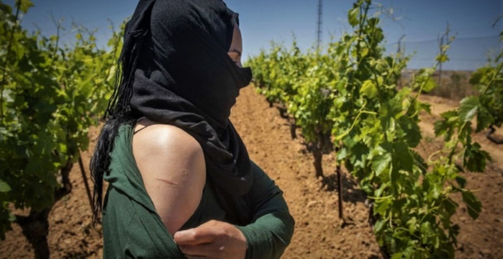 تقرير‭ ‬روسي.. ‬عاملات‭ ‬مغربيات ‬يستنكرن‭ ‬ازدواجية‭ ‬المعايير‭ ‬في‭ ‬حقول‭ ‬الفراولة‭ ‬الإسبانية