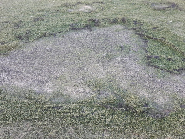 ملعب العرائش ينتظر موسم الحرث ملعب العرائش ينتظر موسم الحرث