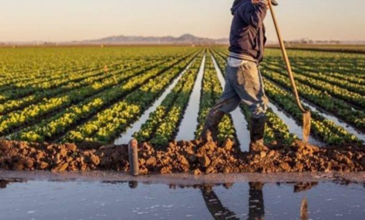 التساقطات المطرية تنقذ نمو الحبوب وتنعش حقينة السدود التساقطات المطرية تنقذ نمو الحبوب وتنعش حقينة السدود