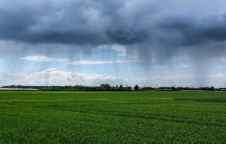 التساقطات المطرية تنقذ نمو الحبوب وتنعش حقينة السدود