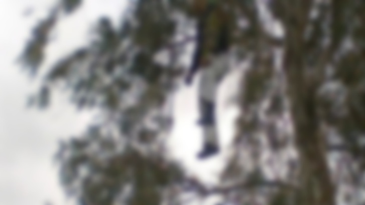 فاجعة.. العثور على جثة شاب معلقة بشجرة فاجعة.. العثور على جثة شاب معلقة بشجرة