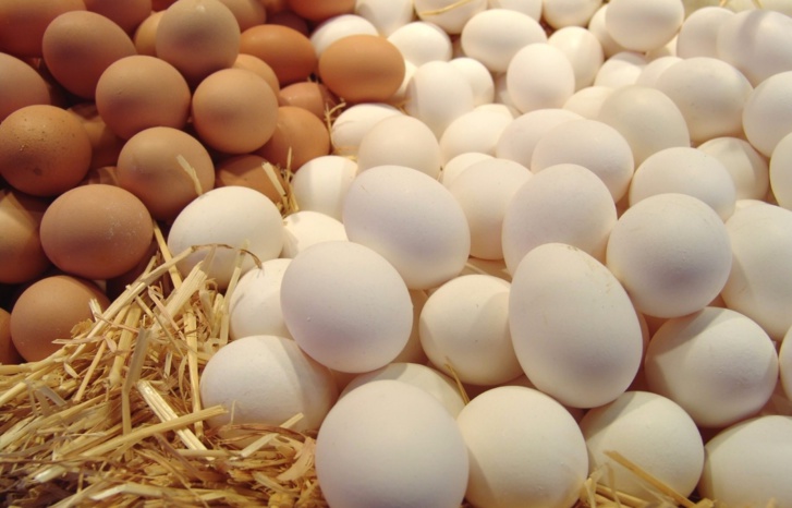 17 مليون بيضة في اليوم من أجل تغطية حاجيات موائد رمضان 17 مليون بيضة في اليوم من أجل تغطية حاجيات موائد رمضان