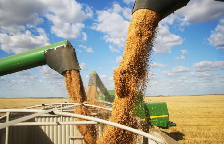 تعطيل صفقة الحبوب قد يصبح كارثة للدول المحتاجة للغذاء تعطيل صفقة الحبوب قد يصبح كارثة للدول المحتاجة للغذاء