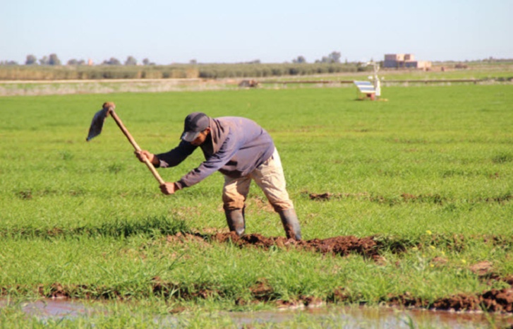 التساقطات الأخيرة تنقذ الـموسم الفلاحي وتنعش حقينة السدود التساقطات الأخيرة تنقذ الـموسم الفلاحي وتنعش حقينة السدود