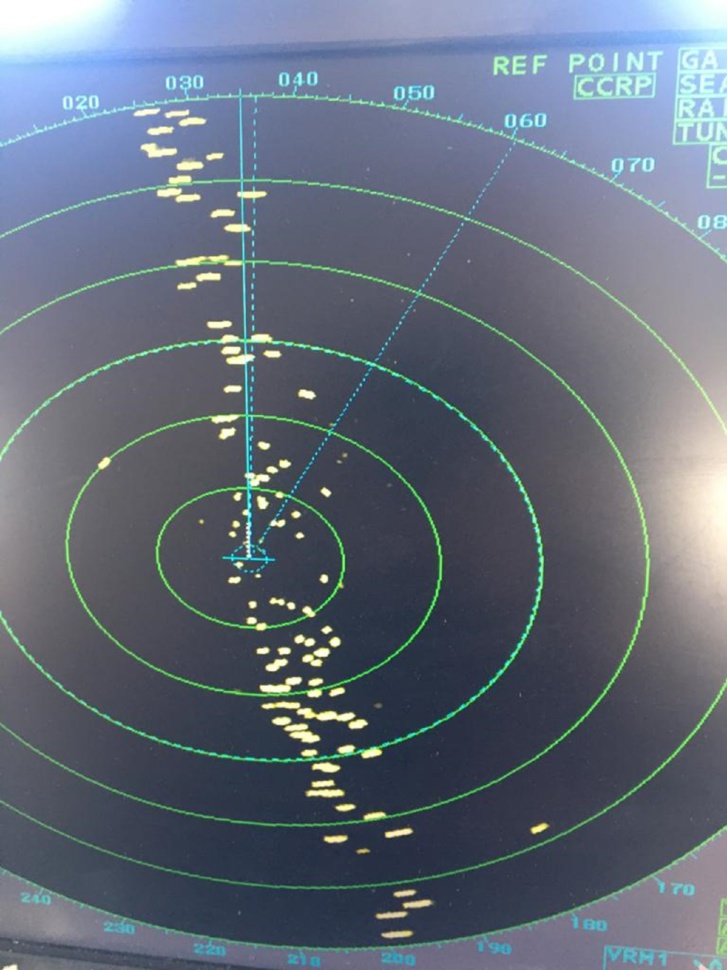 صور صادمة توثق إلقاء أطنان من الأخطبوط في عرض البحر والجهات المعنية صامتة صور صادمة توثق إلقاء أطنان من الأخطبوط في عرض البحر والجهات المعنية صامتة