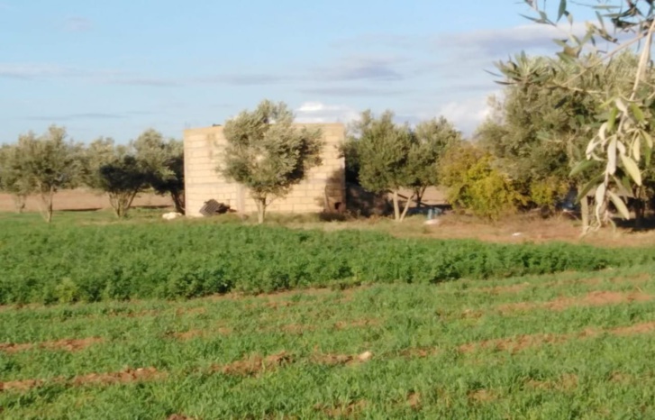 أزمة خانقة تتطلب تبسيط مسطرة الترخيص لتعميق وتنظيف آبار السقي بالقطاع الفلاحي أزمة خانقة تتطلب تبسيط مسطرة الترخيص لتعميق وتنظيف آبار السقي بالقطاع الفلاحي