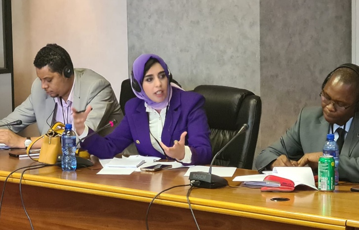 بنخير تبرز بجنوب إفريقيا دينامية التنمية المشتركة التي يقودها صاحب الجلالة بالقارة السمراء بنخير تبرز بجنوب إفريقيا دينامية التنمية المشتركة التي يقودها صاحب الجلالة بالقارة السمراء