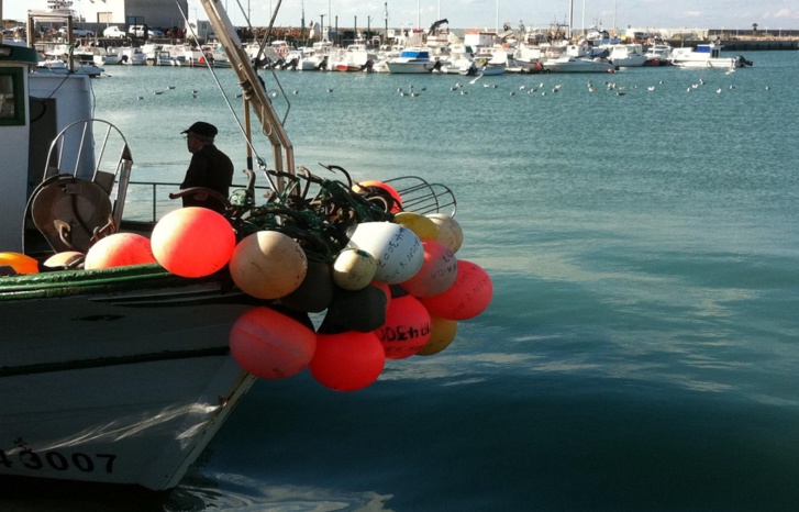 الاتحاد الأوروبي يبحث عن صيغ بديلة لتجديد اتفاق الصيد البحري مع المغرب