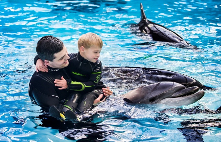 مطالب بتشييد أحواض مائية للدلافين المعالِجة للأطفال المصابين بالتوحد مطالب بتشييد أحواض مائية للدلافين المعالِجة للأطفال المصابين بالتوحد