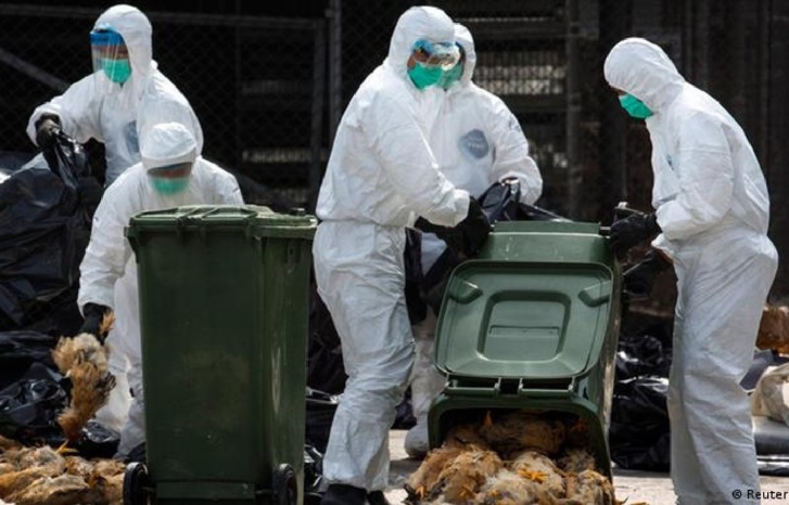 مرة أخرى من الصين.. تسجيل أول وفاة بشرية بأنفلونزا الطيور مرة أخرى من الصين.. تسجيل أول وفاة بشرية بأنفلونزا الطيور