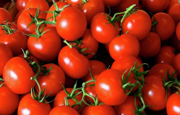 المغرب الثالث عالميا في تصدير الطماطم والحكومة تحفز الفلاحين