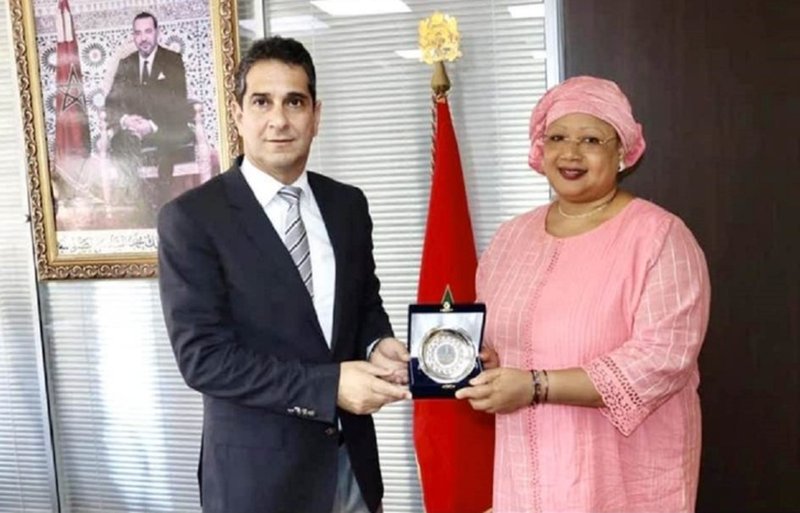 مولاي أحمد أفيلال يجتمع بنائبة رئيس الفدرالية المالية للمقاولات بدولة مالي مولاي أحمد أفيلال يجتمع بنائبة رئيس الفدرالية المالية للمقاولات بدولة مالي