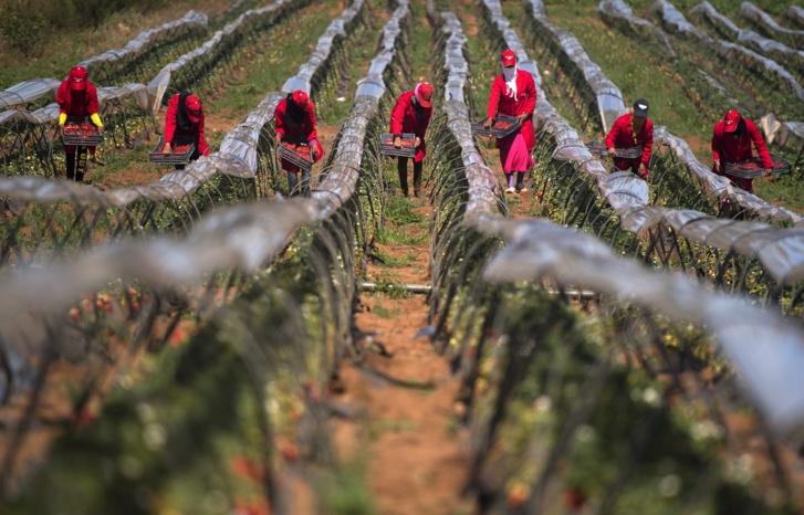 منظمات نسائية وحقوقية:  تشغيل النساء المغربيات في فاتح ماي «استعباد جديد» منظمات نسائية وحقوقية:  تشغيل النساء المغربيات في فاتح ماي «استعباد جديد»