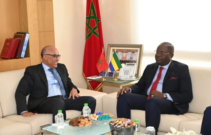وزير التعليم العالي والبحث العلمي والابتكار يلتقي نظيره الغابوني في الرباط وزير التعليم العالي والبحث العلمي والابتكار يلتقي نظيره الغابوني في الرباط
