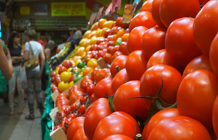 أمام اكتساح طماطم المغرب السوق الإسباني.. المنتجون الإسبان يطلبون المساعدة