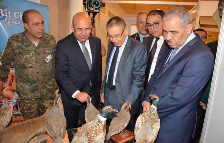 والي جهة بني ملال خنيفرة يشرف على انطلاق الدورة الأولى للقاءات القنص والصيد السباحي المستدامين بأفورار والي جهة بني ملال خنيفرة يشرف على انطلاق الدورة الأولى للقاءات القنص والصيد السباحي المستدامين بأفورار